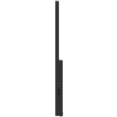 MSI Portable Tv/Monitor Portable